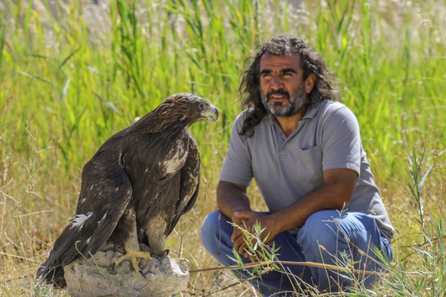 Van'da tedavi edilen 35 kuş doğaya bırakıldı